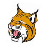 The BobCatBobby