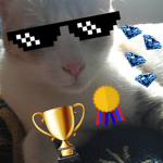 MaccelShopz