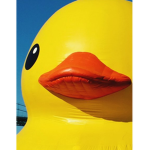 Only Ducks Cult