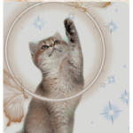 *-Lilac Callander-*