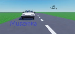 [Spring] Muszynka Car Driving icon
