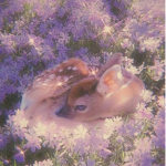 ・twinkle・
