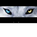 Wolf World Studios