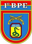 - [BPE] Batalhão de Policia do Exército