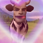 Pinky cow team