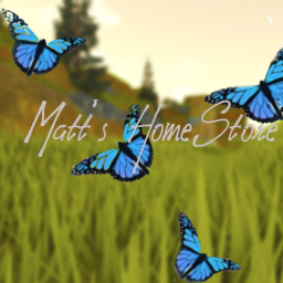 Matt's HomeStore      { Not FINISHED}