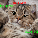 Da Kats!