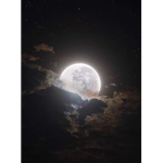 Moon Rae •
