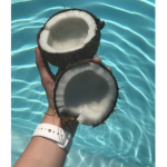 Coconut gals~