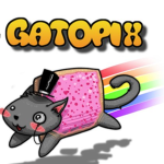 Gato Pix :)