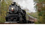 Train GanG!