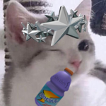 Elizqs_clothingshelf