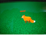 Fox groupe