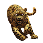 Spirit Animals The Rulers