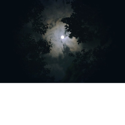 27thWolf's Campfire Hangout