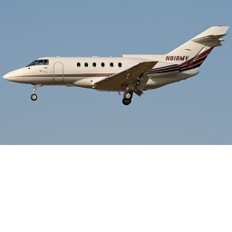 East Coast Jet Flight 81