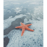 Seaside_clothing