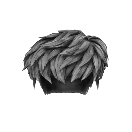 Silver&Black Messy Layered Fringe Hair