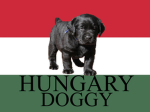 Dog's Empire United