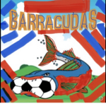 Barracuda Academy