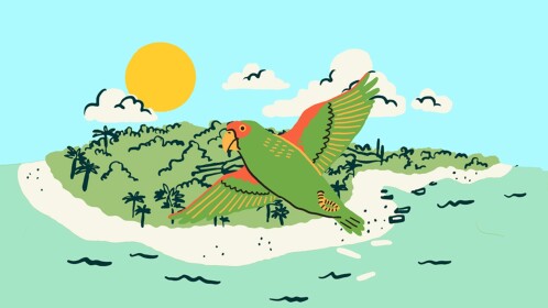 Parrot Island