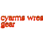 cyarms wrestling gear