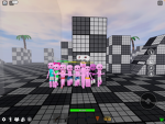 The pink erasers
