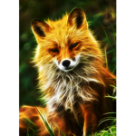 Red foxy