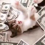give us money games