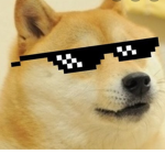 The doge and doggo universe
