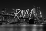 Rise New York WL