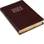 The Bible kids