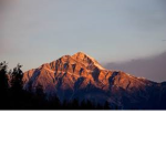 "Twin Peaks"