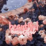 • B-E-A-U-T-I-F-U-L •
