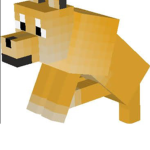 Wolf & Doge Fan Group