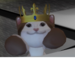 pop catz 0nly