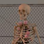 Cʟᴏᴠᴇʀ’s Gʀᴏᴜᴘ