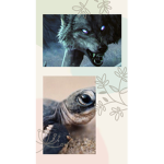Wolfie/turtle squad