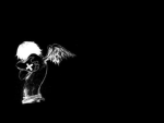 Darkness in the Vally