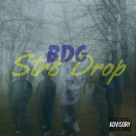 BDG #SE15