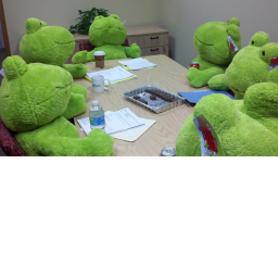 The Frog Meeting