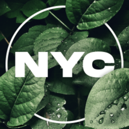 New York City Roleplay