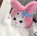 PinkEun