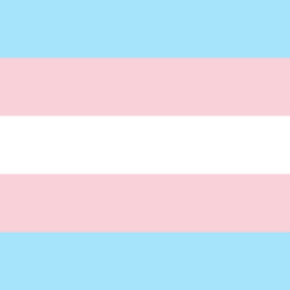Pastel trans flag Roblox decal