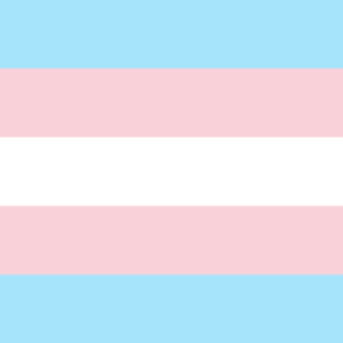 Pastel trans flag Roblox decal