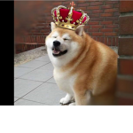 Doggo Group for War