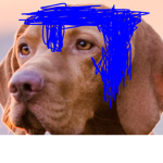 mr_doggo army