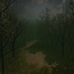 Alone in the woods...