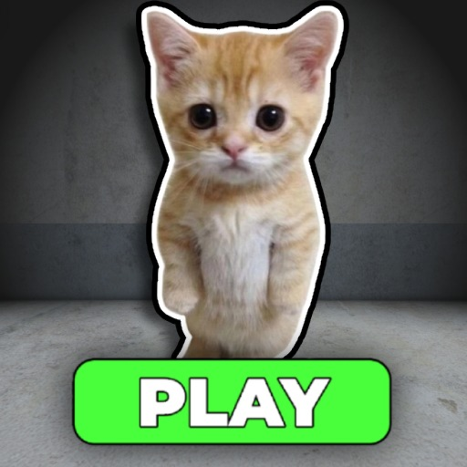 RUN FROM EL GATO! (OBBY)