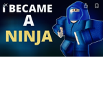 Arsenal ninjas